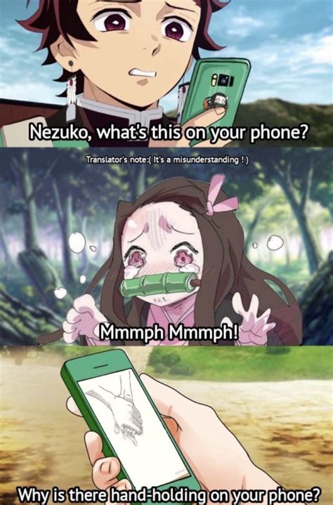 nezuko chan : r/animememes