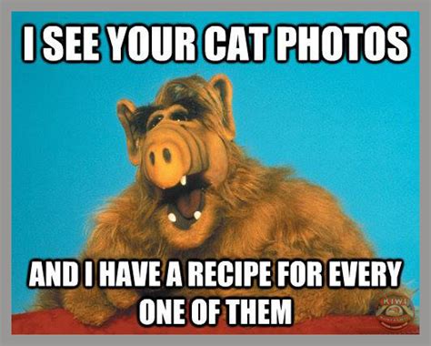 Alf Funny Quotes - ShortQuotes.cc