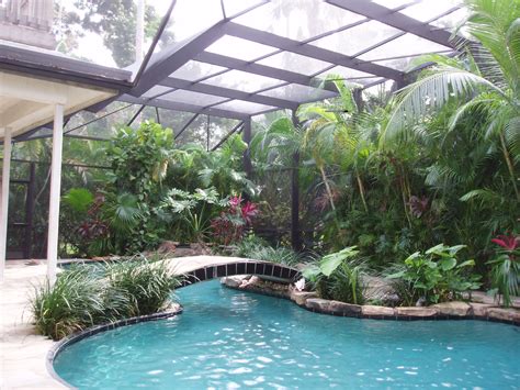 home pool areas - Google Search | Indoor pool design, Pool screen enclosure, Residential pool