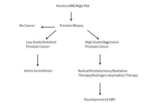 Prostate cancer diagnosis and treatment. | Download Scientific Diagram