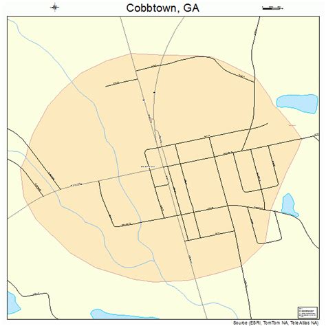 Cobbtown Georgia Street Map 1317272