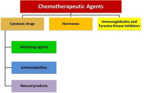 Drugs used in oncology | Pharmacology Education Project