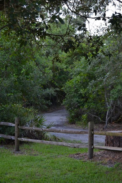 Shingle Creek Regional Park - Kissimmee, FL - Leigh Michele