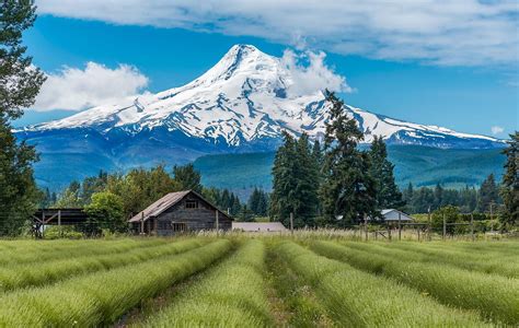 Mount Hood, Oregon - WorldAtlas