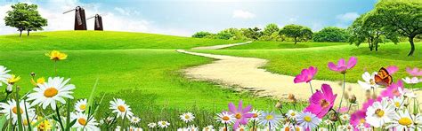 Meadow, Sky, Planta Imagens de fundo gratuitas, Paisagem Grass Campo Rural Background Foto PNG e ...