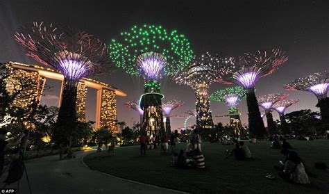 Puts our Christmas lights to shame: Mesmerising forest of solar-powered trees dazzle in the ...