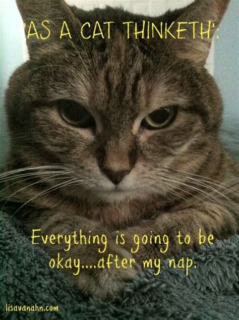 everything will be okay....seriously. Smile Girl, I Feel Good, Its Okay, Cat Memes, Feel Better ...