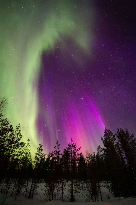 Northern Lights photos: 10 shots of Aurora Borealis from March 2023