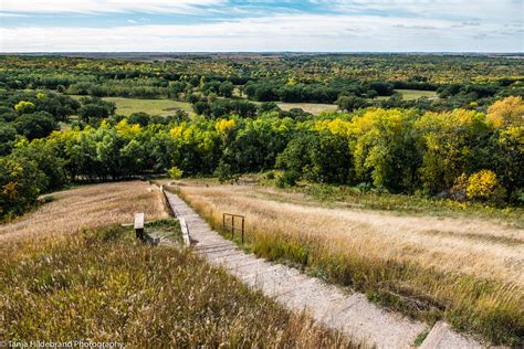 DSC00947.jpg | White Horse Hill National Game Preserve | Tanja ...