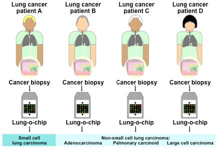 CISN - How Do Molecular Diagnostics Work?