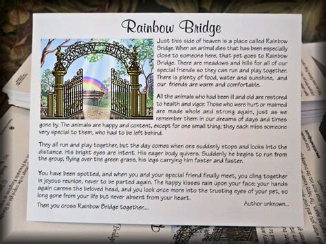 Rainbow Bridge Poem Pet Sympathy Cards Rainbow Bridge Poem, Pet Sympathy Cards, Rainbow Items ...