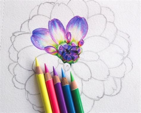 Drawing Flowers Watercolor Colored Pencils #artistic_support #pen #pendraw | Color pencil art ...