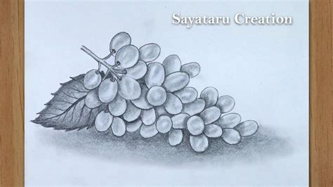 How to draw grapes step by step - Pencil sketch - Drawing for beginners