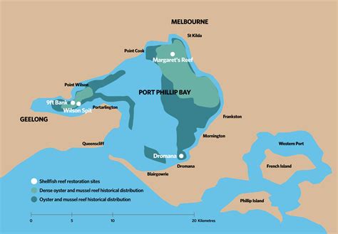 New shellfish reefs for Port Phillip Bay | Port Phillip & Western Port Regional Catchment Strategy