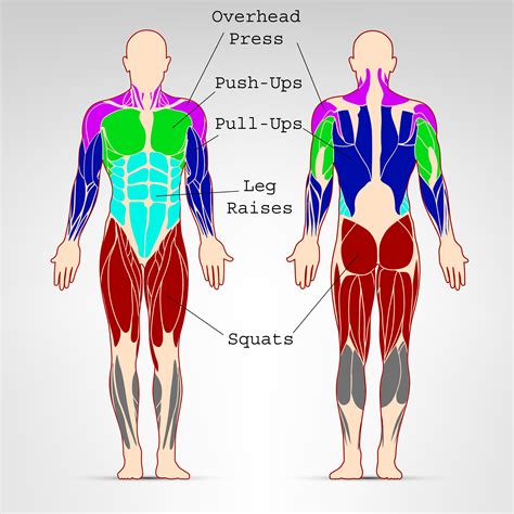 Bodyweight Exercises for Strength: A Routine For Getting Shredded Without Weights