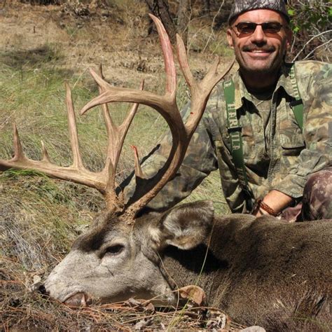 BC Mule Deer Hunts | Lillooet, British Columbia Hunting Guides