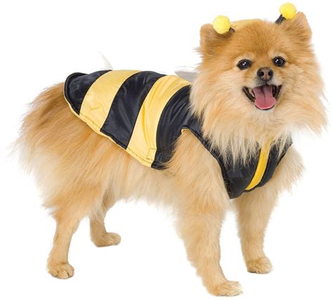 Bumble Bee Cute Holiday Pet Costume * See this awesome image (This is ...