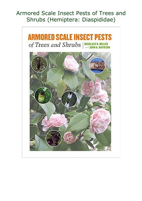 PDF Armored Scale Insect Pests of Trees and Shrubs (Hemiptera: Diaspididae)