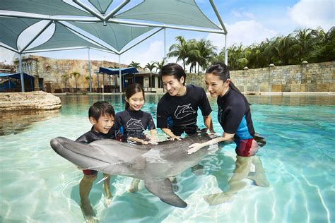 Dolphin Island Singapore Tickets in Singapore | Pelago