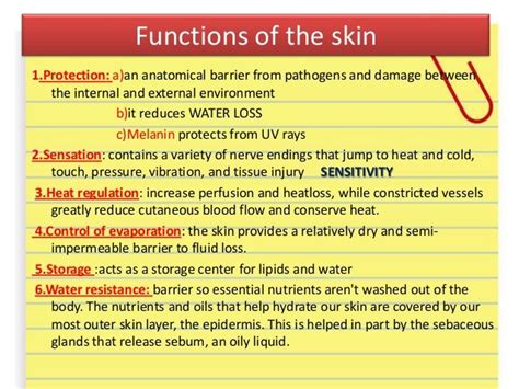 Skin homeostasis