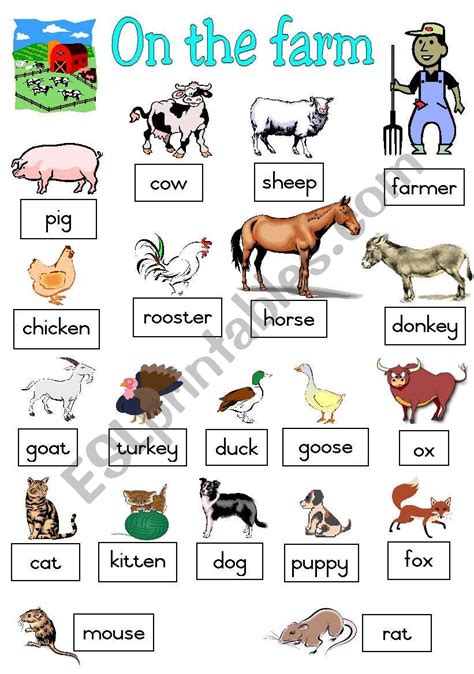 Farm Animals Poster - ESL worksheet by Joeyb1