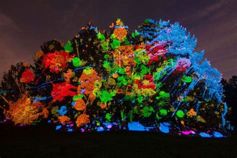 Illumination at Morton Arboretum: Chicago Attractions Review - 10Best ...