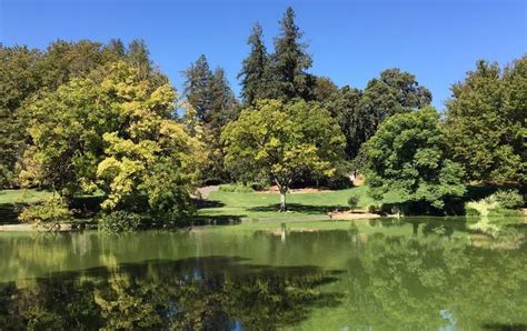 UC Davis Arboretum Day Trip: Relax And Explore Nature