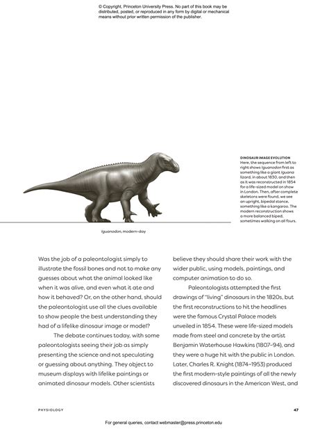 Dinosaur Behavior | Princeton University Press