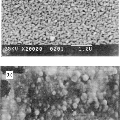 (PDF) Physical and chemical properties of gels