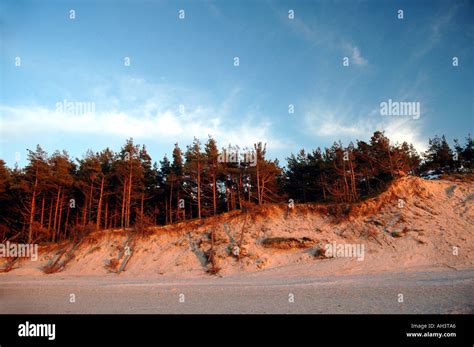 beach in Leba Stock Photo - Alamy