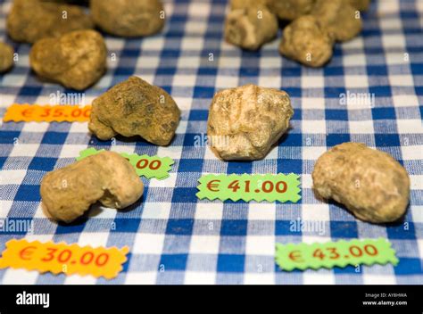 Alba italy truffle hi-res stock photography and images - Alamy