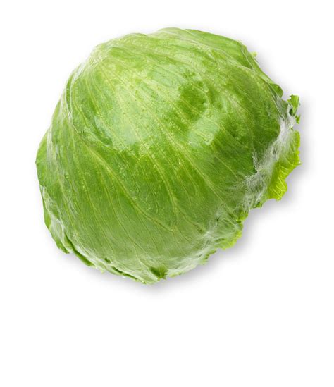 Iceberg Lettuce Information | Learn About Iceberg Lettuce