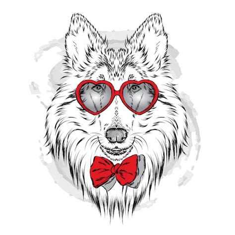 Premium Vector | Dog with glasses and tie isolated on white