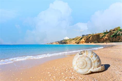 Beautiful Beach in Ashkelon, Israel, with a Large Seashell Stock Image ...