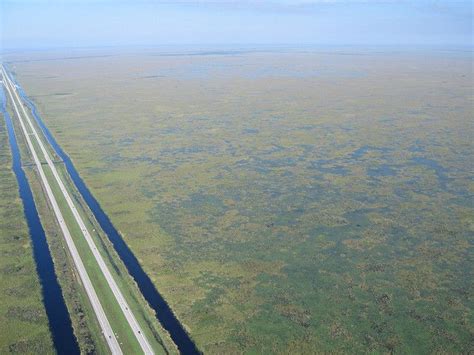 Alligator Alley | Everglades florida, Old florida, Southern vacations