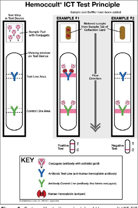 Figure 2 from The Role of Fecal Occult Blood Testing in Screening for Colorectal Cancer ...