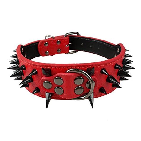 5 Best American Bully Collars - My Bully Shop