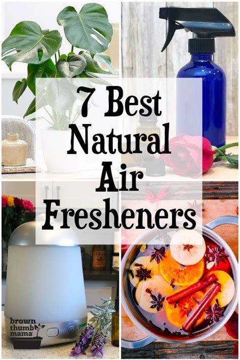 7 Best Natural Air Fresheners in 2020 | Natural air freshener, Air fresheners, Home air fresheners