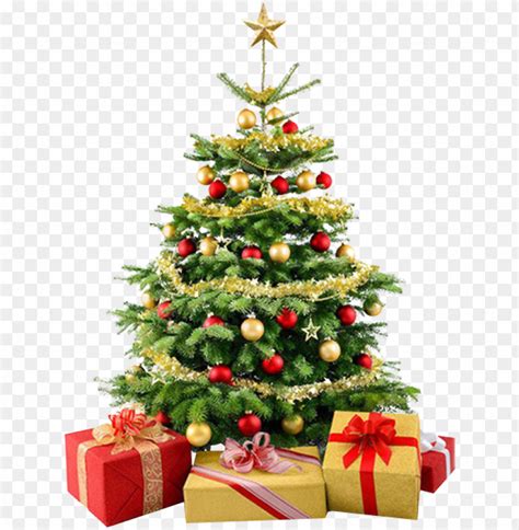 Christmas Tree Png - Christmas Tree No Background PNG Transparent With Clear Background ID ...