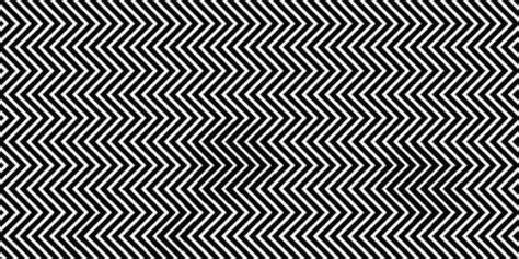 Panda Optical Illusion Zig Zag Lines - Can You Find the Panda in this Optical Illusion