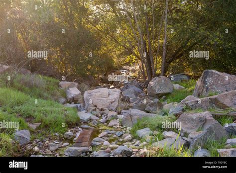 View from the Oak Canyon Trail in Mission Trails Regional Park, San ...