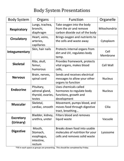 Body System Presentations Body System Organs Function