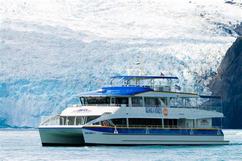 Kenai Fjords National Park Glacier & Wildlife Cruise