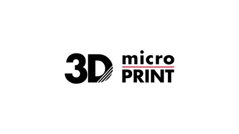 3D MicroPrint GmbH