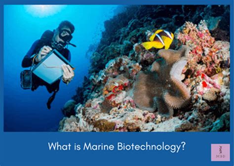 Marine Biotechnology: An emerging field - My Biology Dictionary