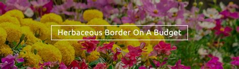 great article on how to design flower beds Herbaceous Border, Garden ...