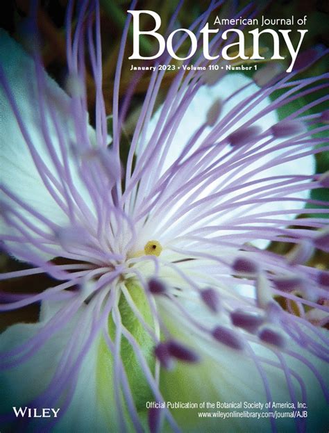 American Journal of Botany