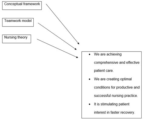 Conceptual Frameworks, Models, and Theories in Nursing | Healthcare Paper Example