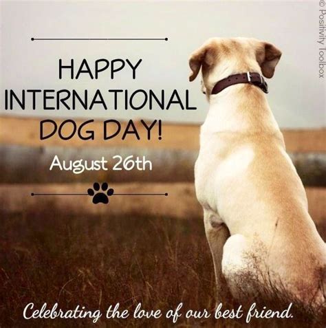 Happy National Dog Day! via www.Facebook.com/PositivityToolbox | International dog day, Happy ...