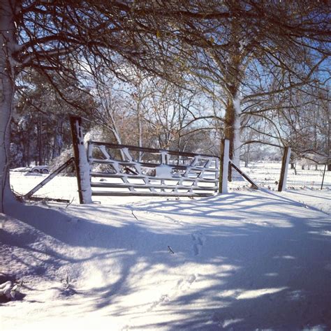 Arkansas Snow Storm | Outdoor, Arkansas, America